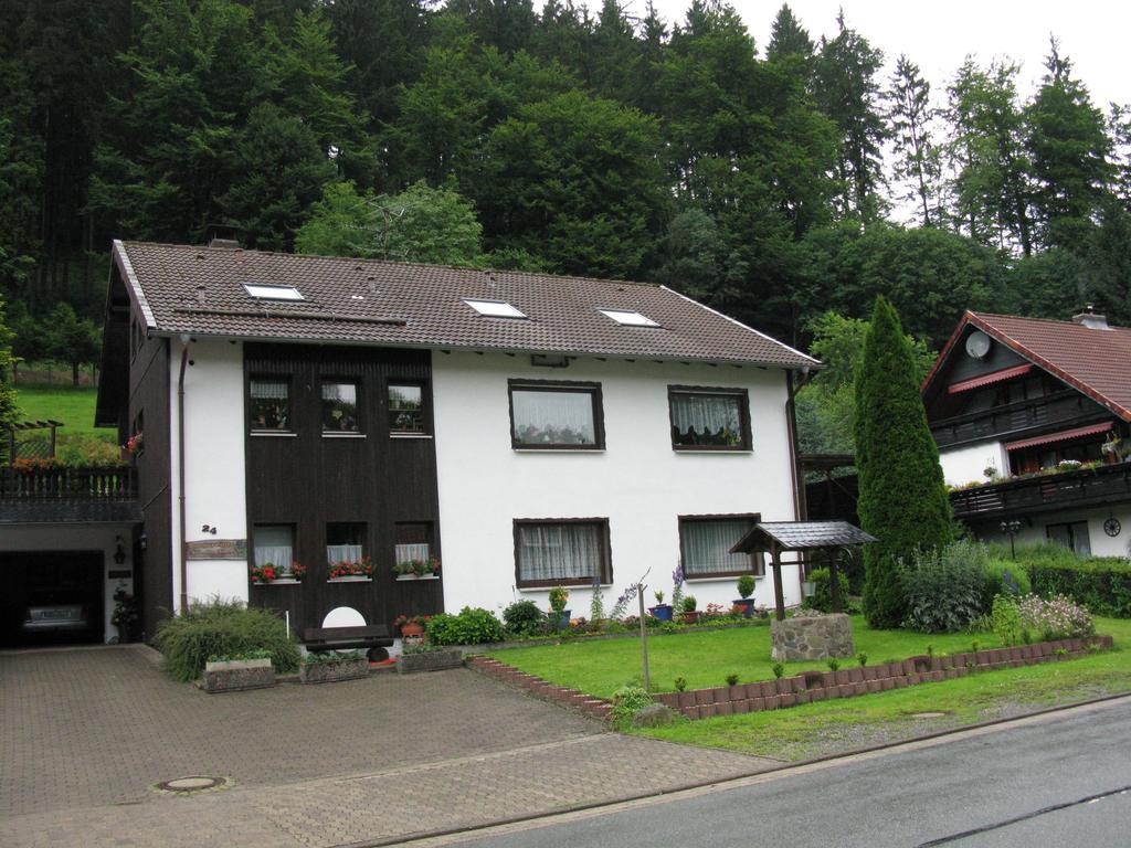 Ferienwohnung Gohlke Kamschlacken 客房 照片